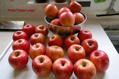 リンゴのジャム作り