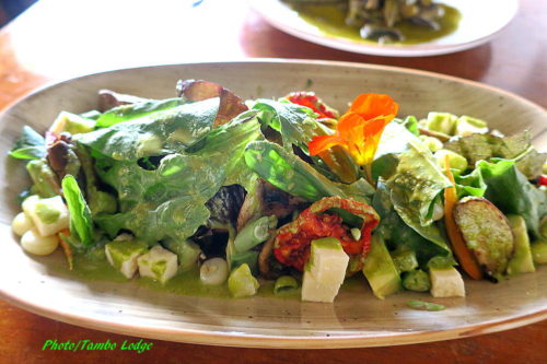 自然食レストラン「Greens Organic」