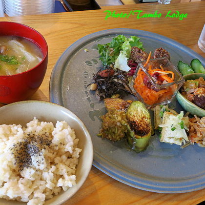 自然食レストラン「Matsu 松」