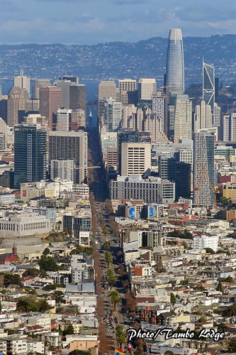 サンフランシスコ一の展望台「ツインピークス」