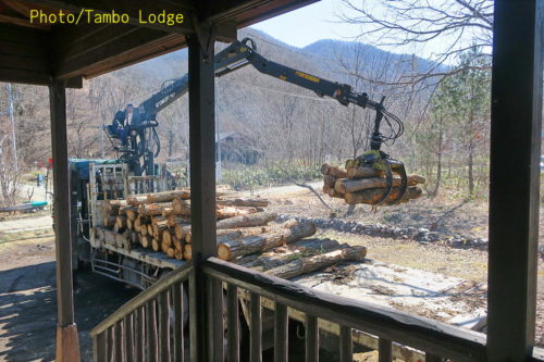 薪用の原木が到着