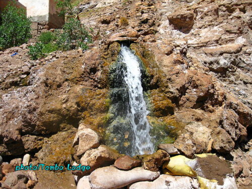 アンデスの秘湯（３）Tarapaya温泉