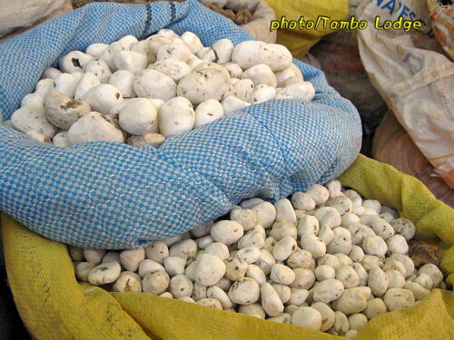 Puno（プーノ）の市場でチューニョを発見！！