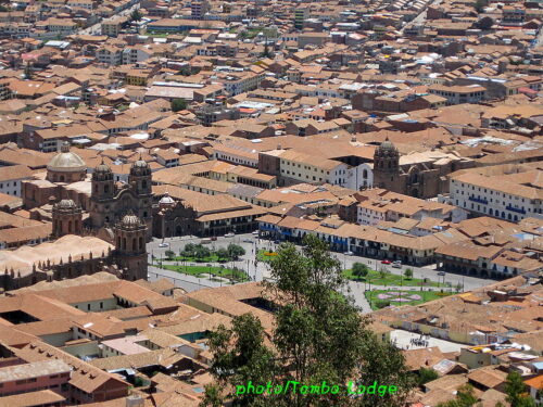 Cuscoで合流＆アルパカ牧場