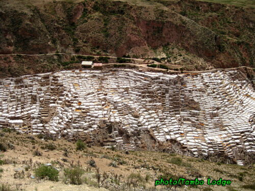 インカの塩とアンデスの春の風景