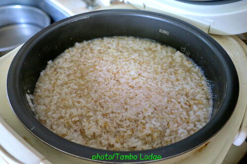 タンボ・ロッジ式米飴の作り方（２）