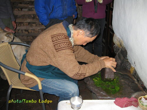 Cuscoで作るアンデス・ヴィーガン料理（２）