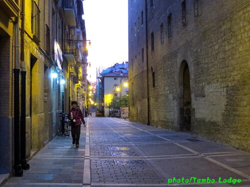 巡礼４日目（Pamplona ⇒ Puente de Reina）24㎞ 無限の大地を歩く