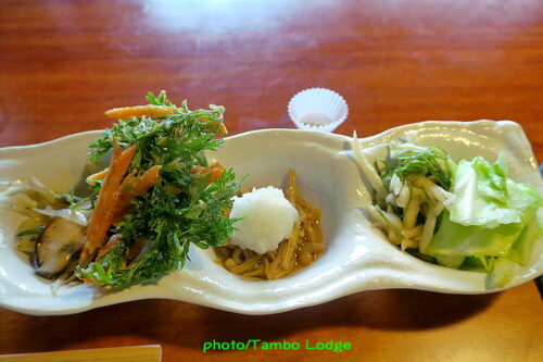 Veganic Monkey Magic & Vege-Sushi Japan 浅草本店の野菜料理と野菜寿司のフルコース