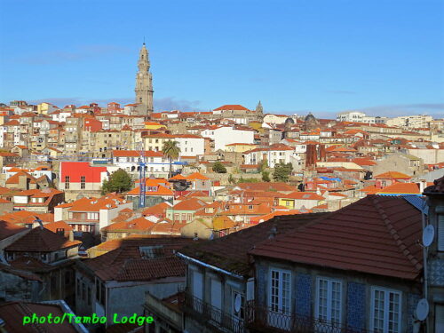 世界遺産の町Porto散策がてらに、ワイナリーへ行く