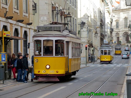 路面電車が走る町、Lisboaにて