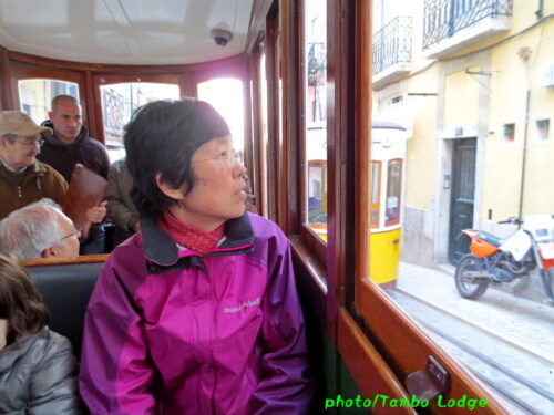 Lisboaのケーブルカーに乗る（１）ビッカ線