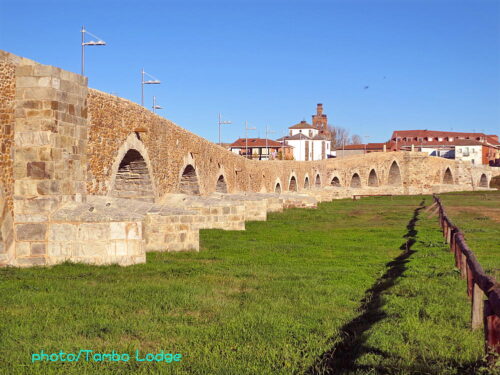 巡礼３日目（Villar de mazarife ⇒ Hospital de Orbigo）15㎞ 伝説の「オルビーゴ橋」を渡る