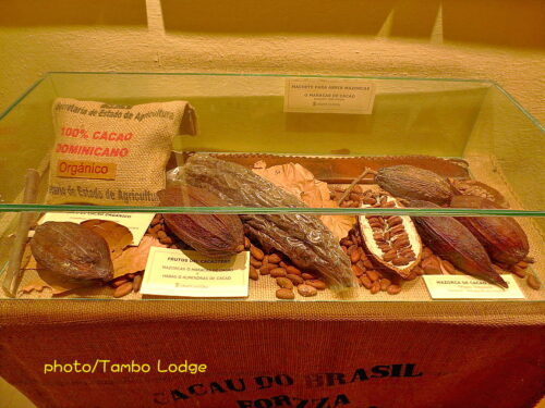 Astorgaのチョコレート博物館見学