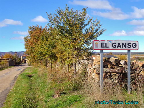 巡礼５日目（Astorga ⇒ Rabanal de camino）21.4㎞ アストルガからの登り道