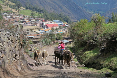 美しいChiquiánの町を散策