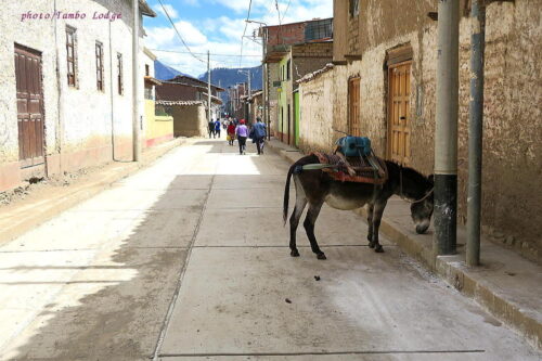 美しいChiquiánの町を散策