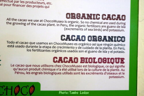 Limaのこだわりのチョコレートショップ「Choco museo」