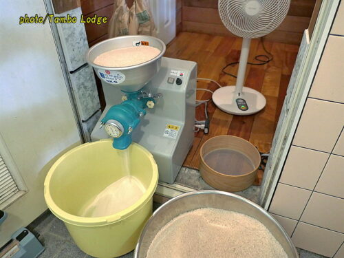 繁忙期を前に、米粉の自家製粉