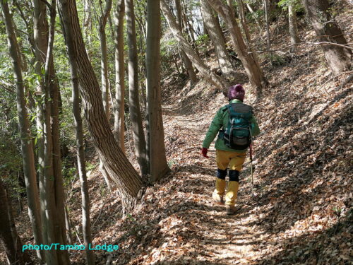 ２０２３年の歩き初めに栃木県の「太平山～晃石山縦走」