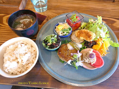 移転して開業した自然食レストラン「Matsu 松」でランチ