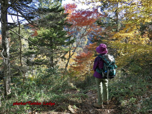 深まる秋に田代山に登る