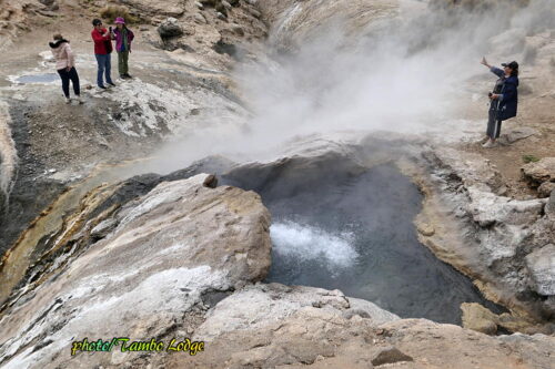 めちゃ美しい「Valle de Geiseres」の湧き出る温泉たち