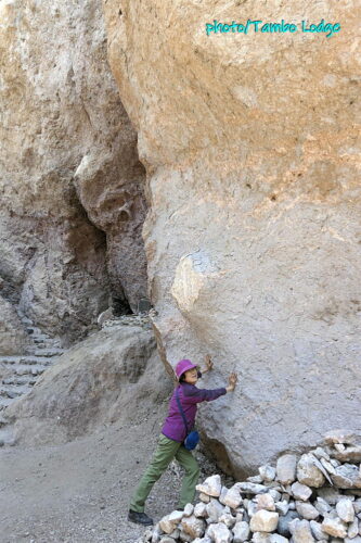 インカの石畳の道＆巨石群を訪ねる
