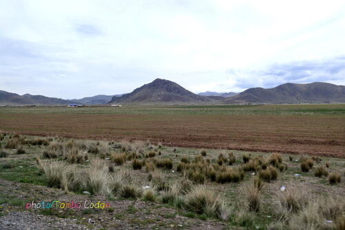 Pojpoquella温泉からPunoへの帰り道