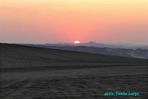 めちゃ美しい砂漠の夕日を見る
