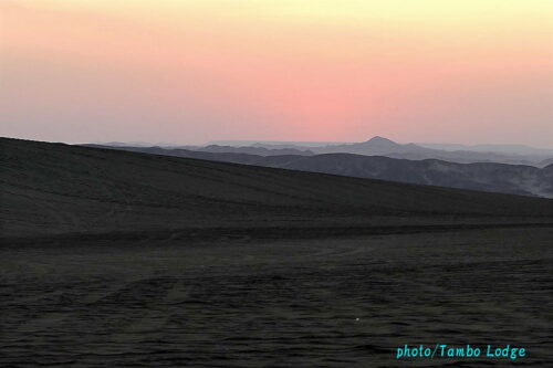 めちゃ美しい砂漠の夕日を見る