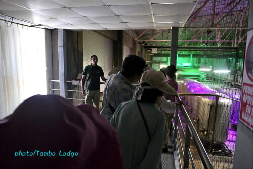 中南米最古の老舗ワイナリーTACAMAで醸造所を見学