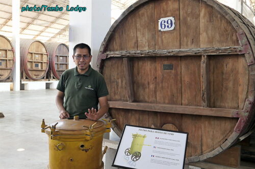 中南米最古の老舗ワイナリーTACAMAで醸造所を見学
