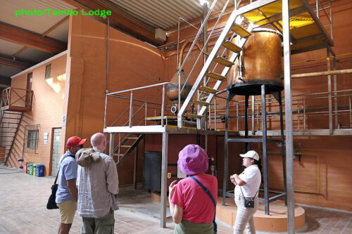 「Viñas Queirolo」の醸造所と葡萄畑見学