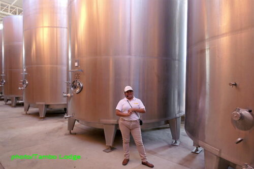 「Viñas Queirolo」の醸造所と葡萄畑見学