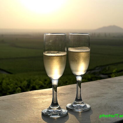 夕日の見える丘でワインのテイスティング