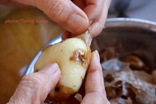 チューニョ（凍み芋）作りが進んでいます