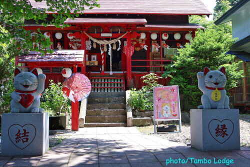 「ドラゴンアイ」を見に八幡平へ登る