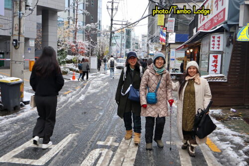 雪の中、朝食と両替のために明洞へ