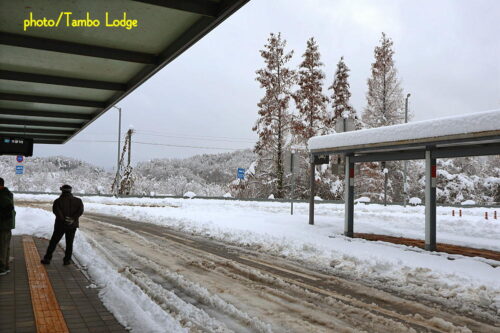 陶芸の町「利川（イチョン）」へ向かうも大雪で・・・⛄