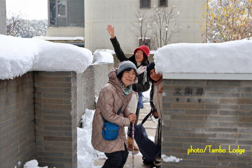 陶芸の町「利川（イチョン）」へ向かうも大雪で・・・⛄