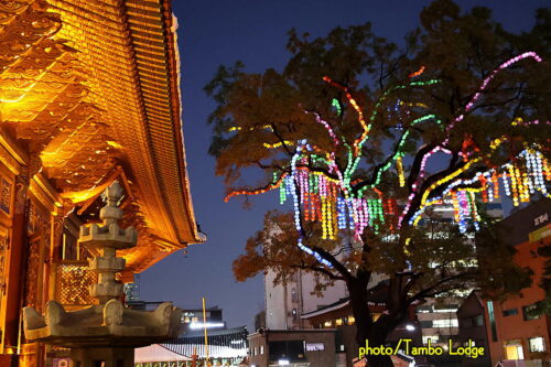 夕暮れの「曹渓寺(チョゲサ)」＆精進料理のレストラン「鉢孟供養(パルコンヤン)」