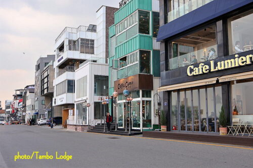 「江陵（カンヌン）」のコーヒー通りカフェでまったりとお茶を