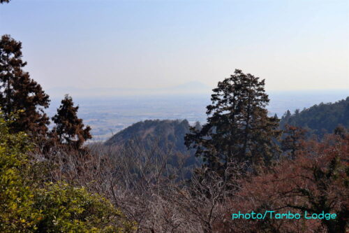 ２０２５年初山歩きは「太平山神社」へ