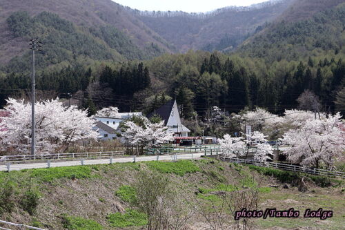 桜満開の会津高原周辺