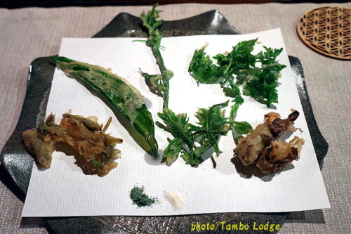 ３回目の秋田大湯温泉、ヴィーガン料理の宿「yuzaka」（２泊目）