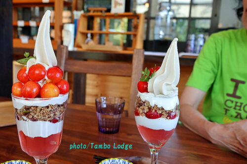 花巻のヴィーガン・レストラン「Sobe’sCafe」と登米市の「精進スイーツ結び」