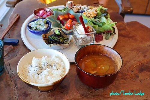 鹿沼の自然食レストラン「Matsu 松」で夏のランチをいただく