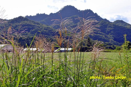 秋の気配が漂う会津高原