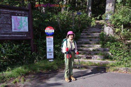秋の始まりの尾瀬沼を歩く
